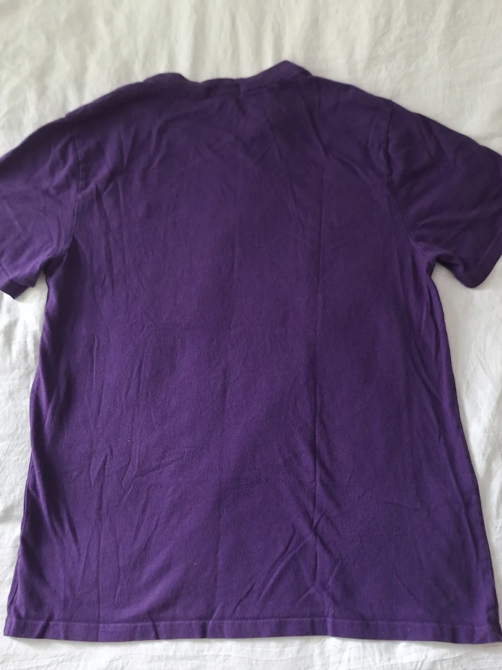 Polo by Ralph Lauren Purple / Green 100% Cotton T-Shirt Men’s Size XL(18-20)